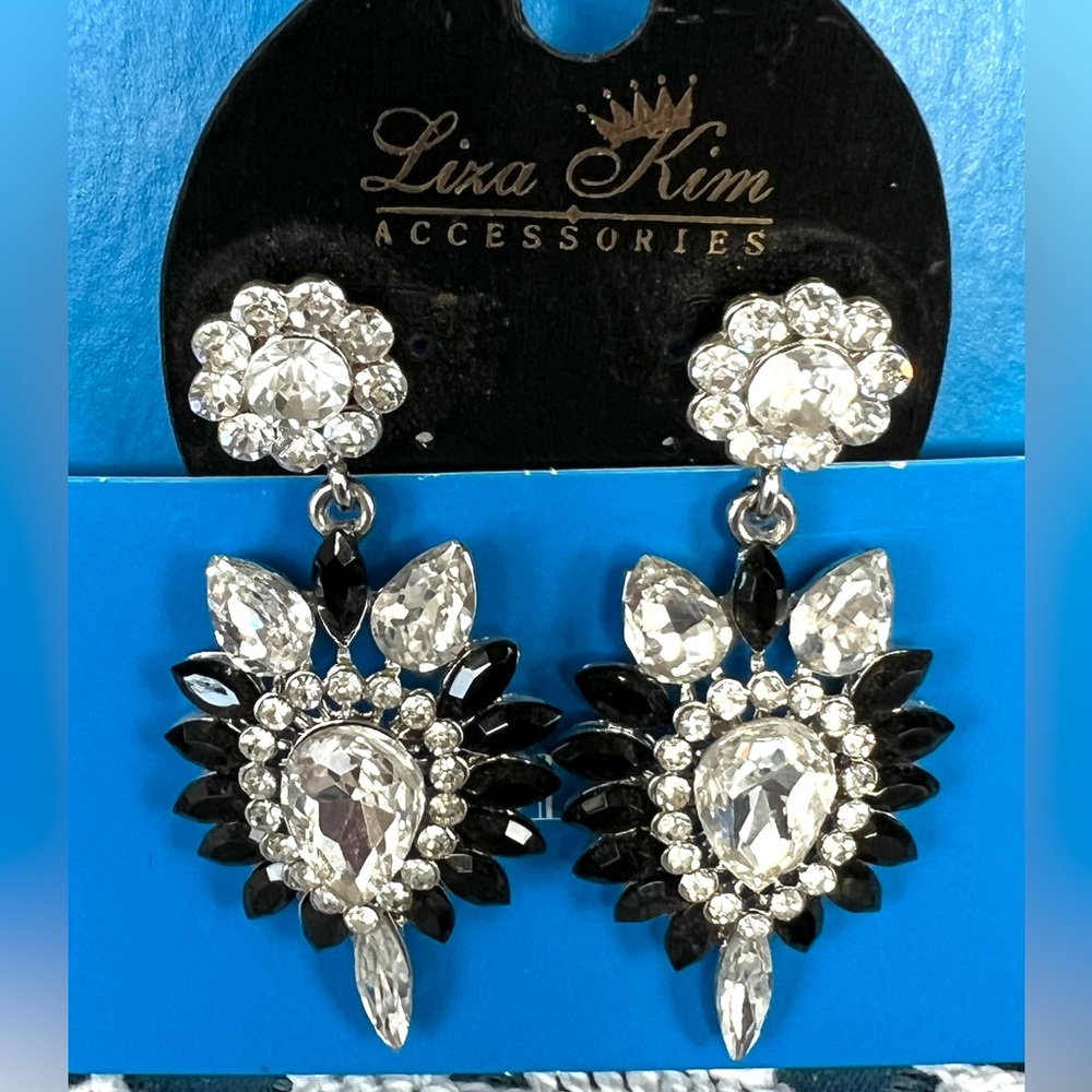 Liza Kim Earrings See Free Offer in details